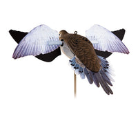 Avian X Powerflight Dove
